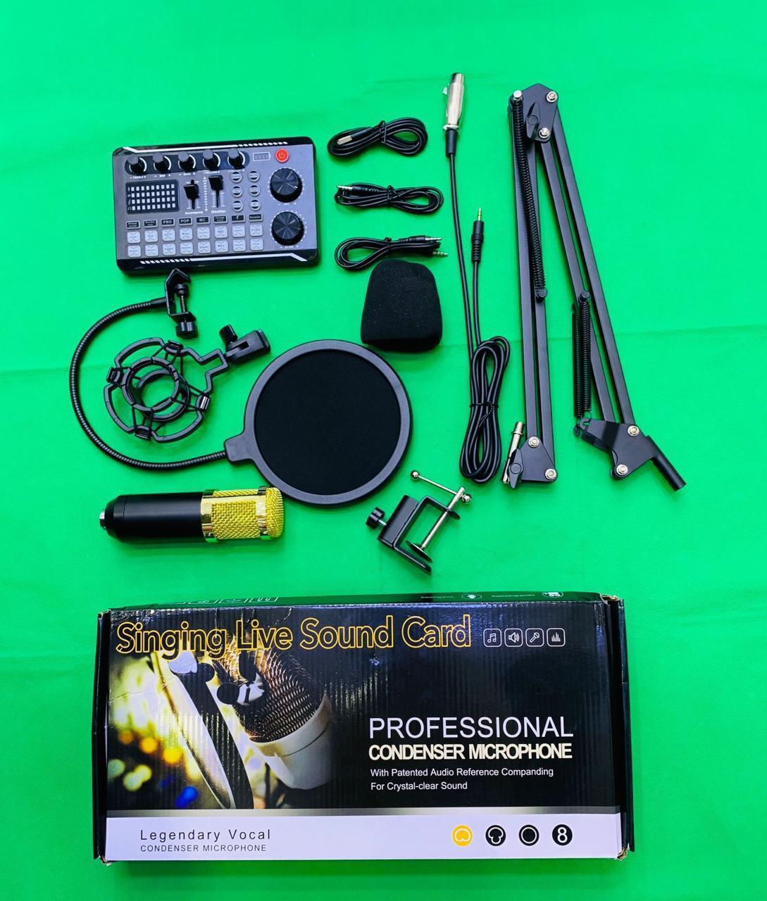 Professional Singing Live Sound Card 