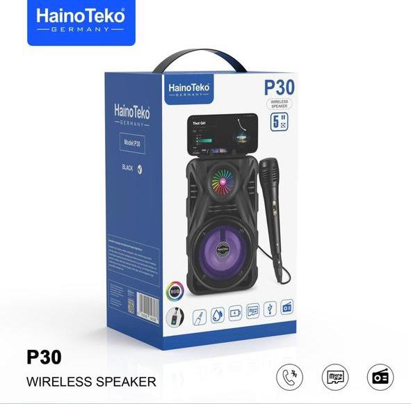 Haino Tecko p-30 Speaker 